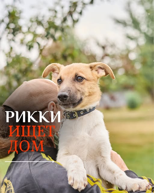 Rikki