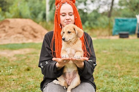 щенки подросшие 55
