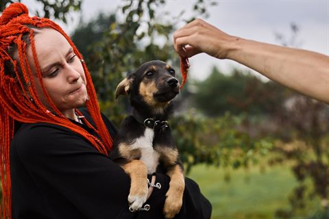 щенки подросшие 210