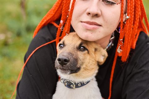 щенки подросшие 243