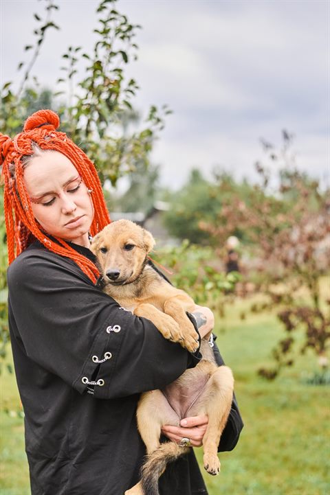 щенки подросшие 267