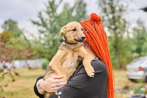 щенки подросшие 280